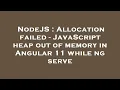 NodeJS Allocation failed - JavaScript heap out of memory in Angular 11 while ng serve
