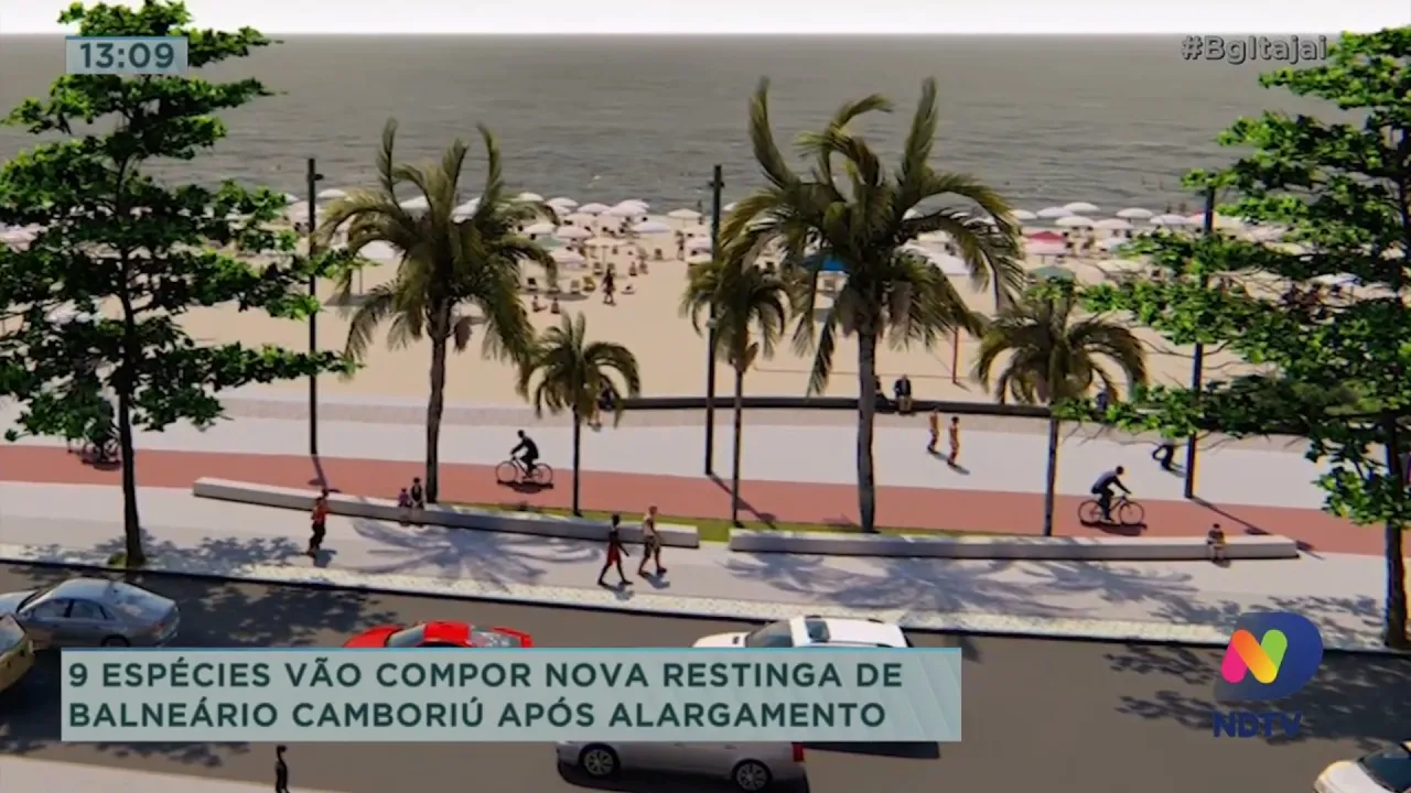 Espécies vão compor restinga de Balneário Camboriú após alargamento