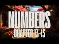 Numbers 13-15 KJV Donovan Reads The Bible King James Version Scripture Reading