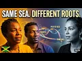 Jamaica vs Trinidad vs Puerto Rico Why Their DNA Is Different