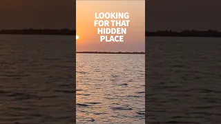 Sailing down the Casamance River to a hidden spot #windedvoyage #sailinglifestyle #africatravel