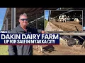 Dakin Dairy Farm up for sale in Florida