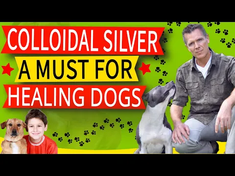 Download MP3 22 Colloidal Silver Benefits For Dogs (How To Use And Best Option)