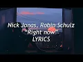 Download Lagu Nick Jonas, Robin Schulz - Right now (Lyrics)