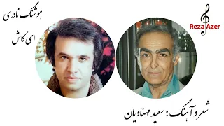 هوشنگ نادری ای کاش شعر و آهنگ سعید مهناویان 