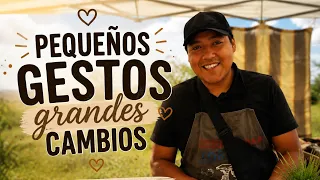 ✨ Puedes apoyar este proyecto en el link en Bio 🔗 