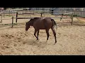 Zip Code exploring his new surroundings 2