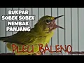 PLECI \