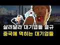 Download Lagu ?? : 살려달라고!!! 진짜 죽는다고!!!