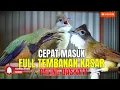 Download Lagu WAJIB DIMASTERI INI - FULL KASARAN || BESETAN-CUNGKOK KUNTI-GEREJA TARUNG-TEPUS AKHIRAN SAMPIT