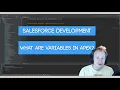 Salesforce Apex Master Class Ep 8 - What are Variables in Apex