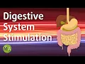 Digestive System Stimulation with Isochronic Tones Stimulate Digestion