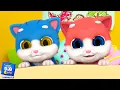 Download Lagu Lima Anak Kucing Kecil lagu + Lebih lanjut puisi prasekolah untuk anak