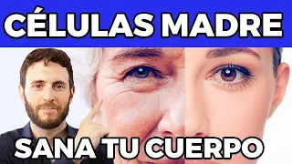 Como las CELULAS MADRE pueden Rejuvenecerte