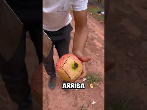 Así puedes cortar una granada fácilmente 😱🍎