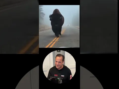 Bigfoot?