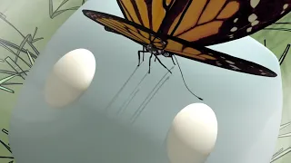 Pogledaj video: 