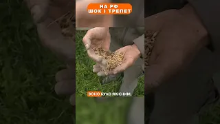 На РФ шок і трепет 