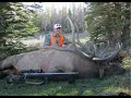 Episode 7 Bucks Bulls their Behavior and how they Differ with Spencer Gledhill AKA Gledeasy