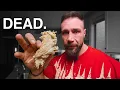 Your Meal Prep Chicken Tastes Bad For This Reason