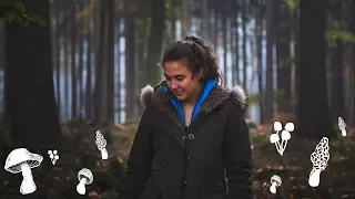 Foraging for Mushrooms in the Czech Republic – Story 17