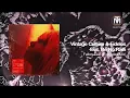 Vintage Culture & Fideles feat. Be No Rain - Fallen Leaf (Extended Mix) [Vintage Culture]