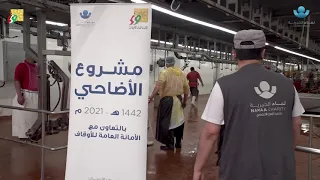 تقرير الأضاحي الأمانة العامة للأوقاف 2021 