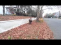 Galloping Cyborg Centaur