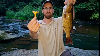 Eating Only What I Catch and Forage in the Appalachians Overnight 