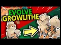 HOW TO EVOLVE GROWLITHE INTO ARCANINE ON POKEMON FIRE RED AND LEAF GREEN