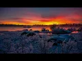2025 Year Mix - Deep & Progressive