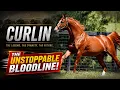Is Curlin Now the Greatest Sire in the World Golden Tempo Renegade 2026