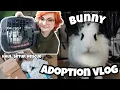 I RESCUED A BUNNY adoption vlog
