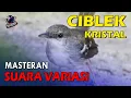 Download Lagu CIBLEK KRISTAL GACOR  | SUARA VARIASI Cocok Untuk PANCINGAN dan MASTERAN BURUNG