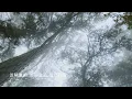 石桥   Gummy B （动态歌词）flac无损音乐