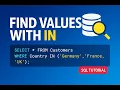 SQL IN Operator Explained Filter Multiple Values with One Query