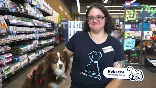 I Have the Best Job in the Building Meet Rebecca Petco Dog Trainer