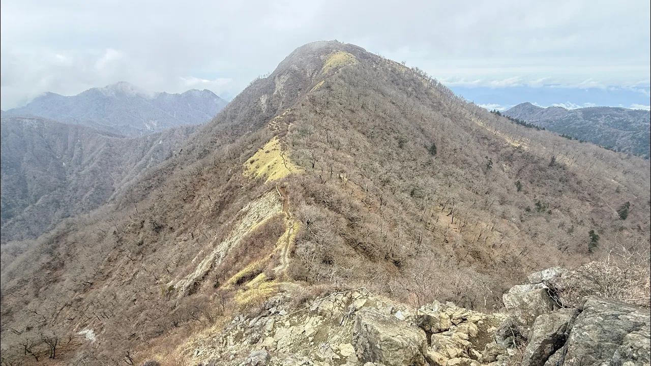 丹沢主脈縦走 青野原-大倉 2026.4.5