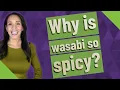 Why is wasabi so spicy