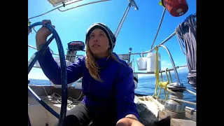 Run Away To The North!  – Sailing Oka Solo –