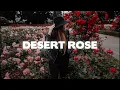 Lolo Zouai - Desert Rose - Slowed + Reverb (Lyrics)