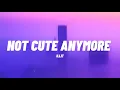 Lagu ILLIT (아일릿) ‘NOT CUTE ANYMORE’ Lyrics