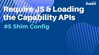 Qlik Sense Mashups Require JS Loading the Capability APIs - Shim Config
