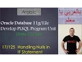 Oracle PLSQL Handling Nulls in IF Statement