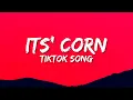it s corn kid tiktok song extended it s corn a big lump of knobs