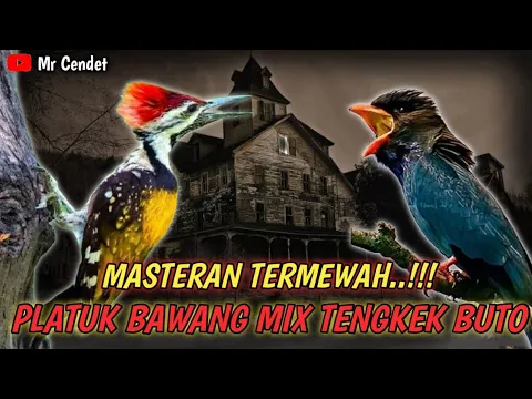Download MP3 MASTERAN MEWAH..!!!TEMBAKAN PLATUK BAWANG MIX TENGKEK BUTO