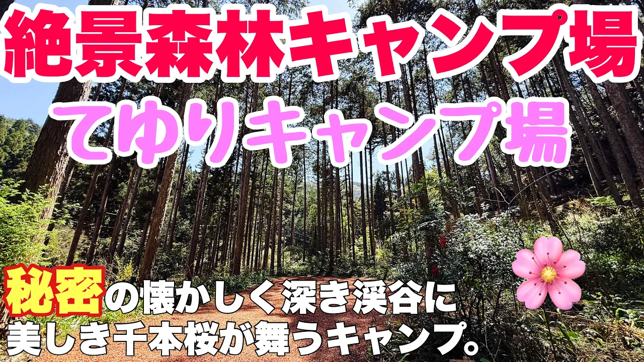 岐阜キャンプ場　てゆりキャンプ場で2026.4春にソロキャンプした動画。岐阜キャンプの春キャンプ 썸네일