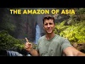 Download Lagu I went where NOBODY goes - the virgin rainforest of Borneo