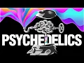 Psychedelics Don t Distort Reality They Reveal How Your Brain Constructs It