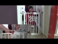 Carlson Extra Wide Dog Pet Gate Review Demo - Perfect gate for pets